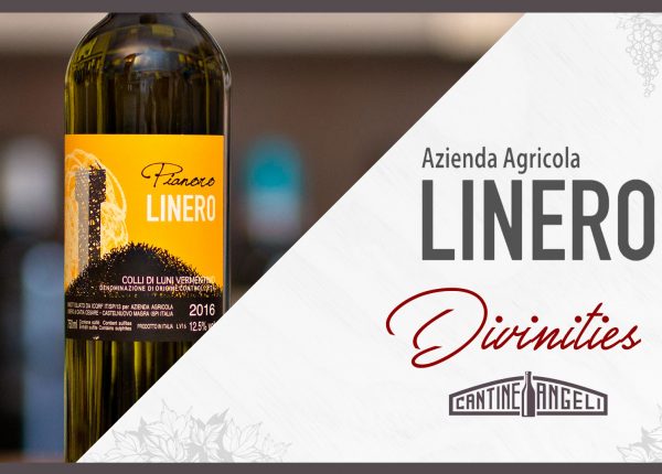 Linero – Divinities thumb