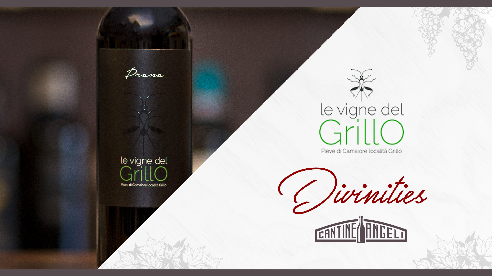 Le Vigne del Grillo – Divinities cover